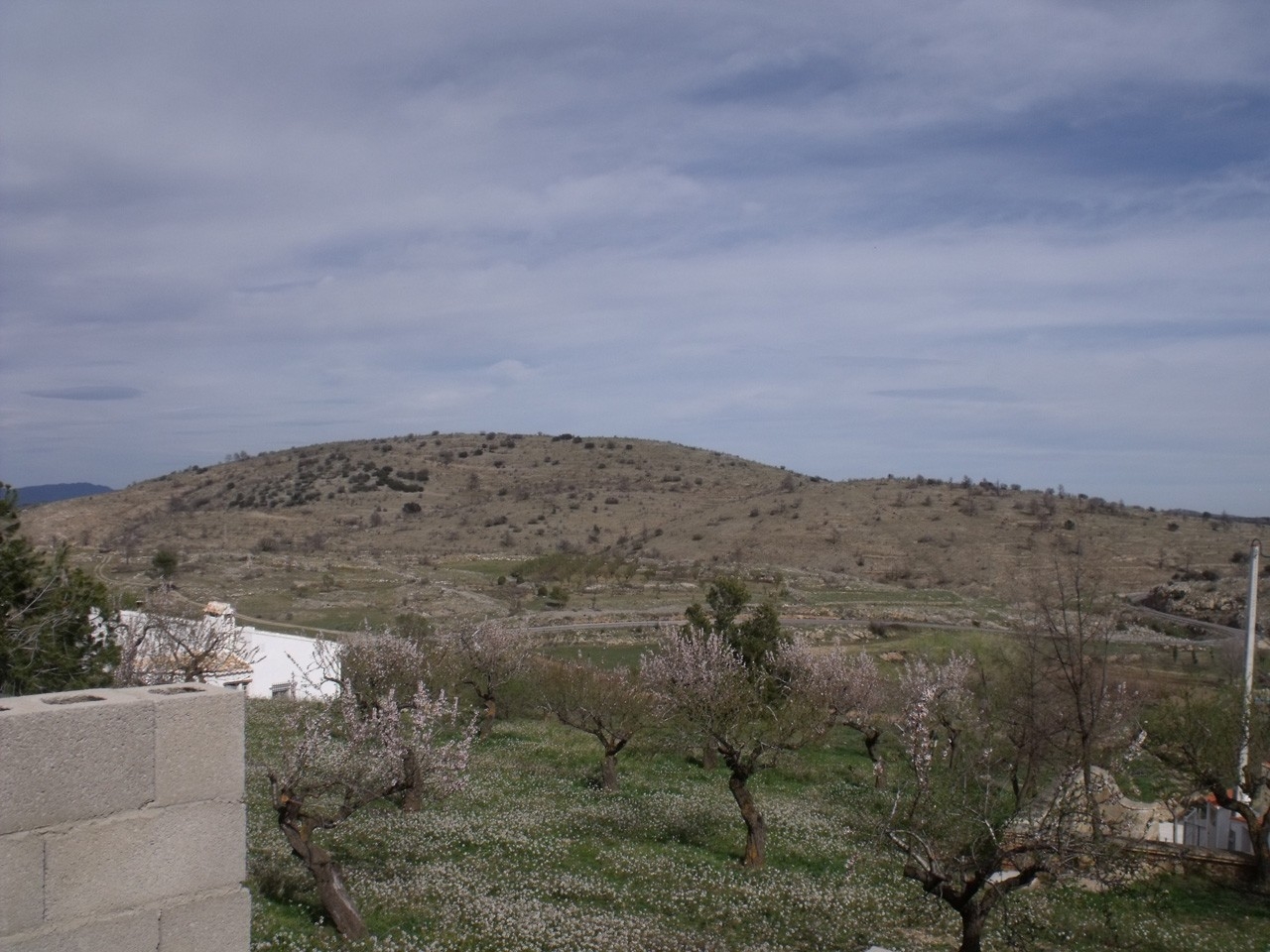 Sacañet