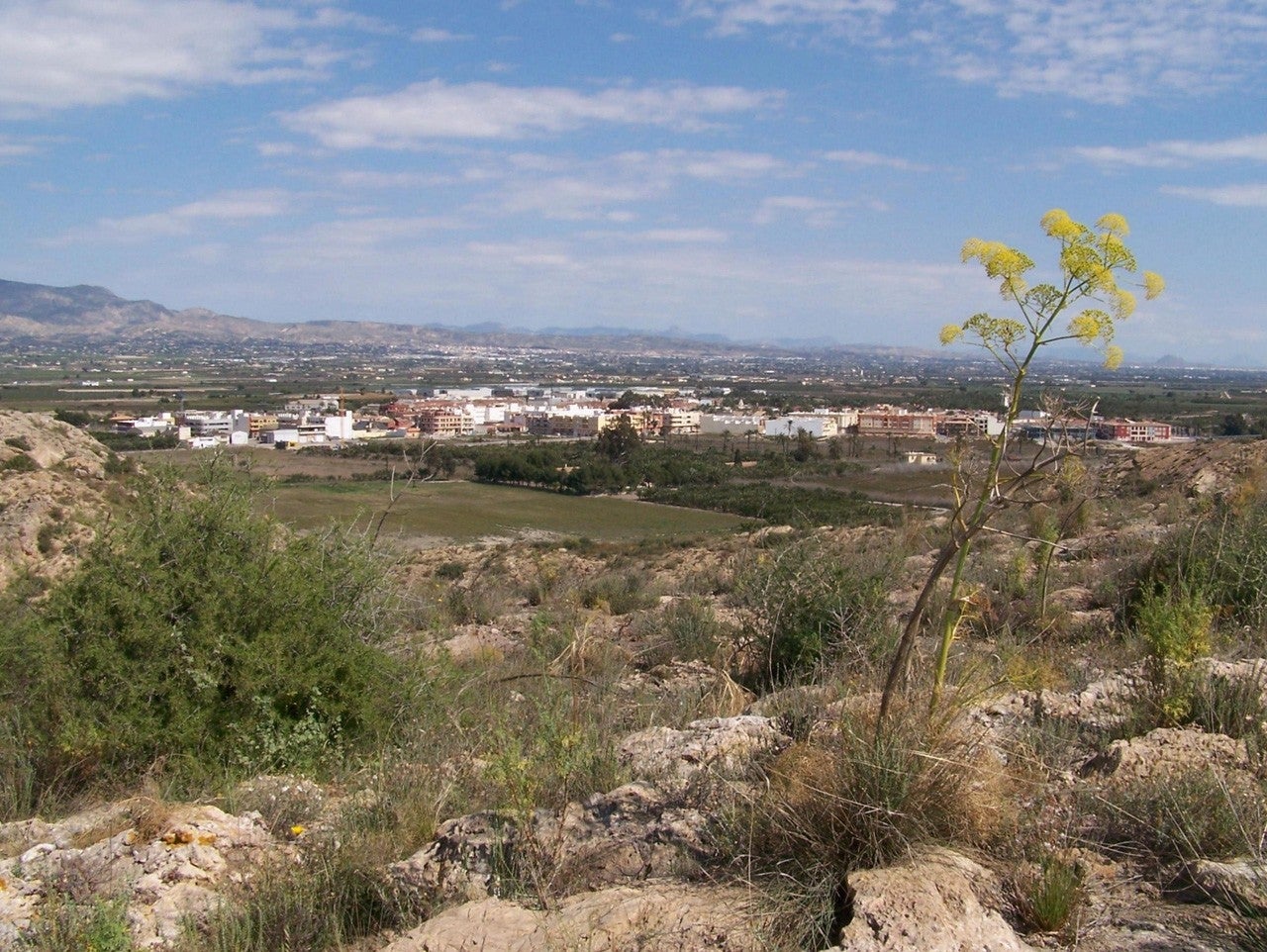 San Isidro
