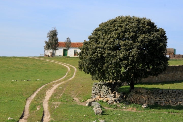Exterior de una finca agrícola en Casar de Cáceres. Fotografía: TM Vía Wikipedia / CC BY-SA.