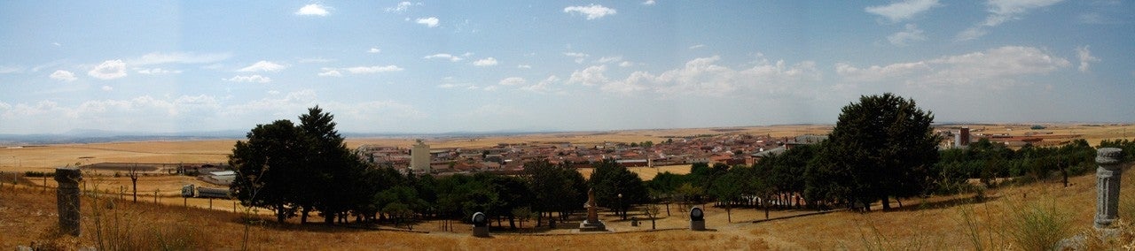 Macotera