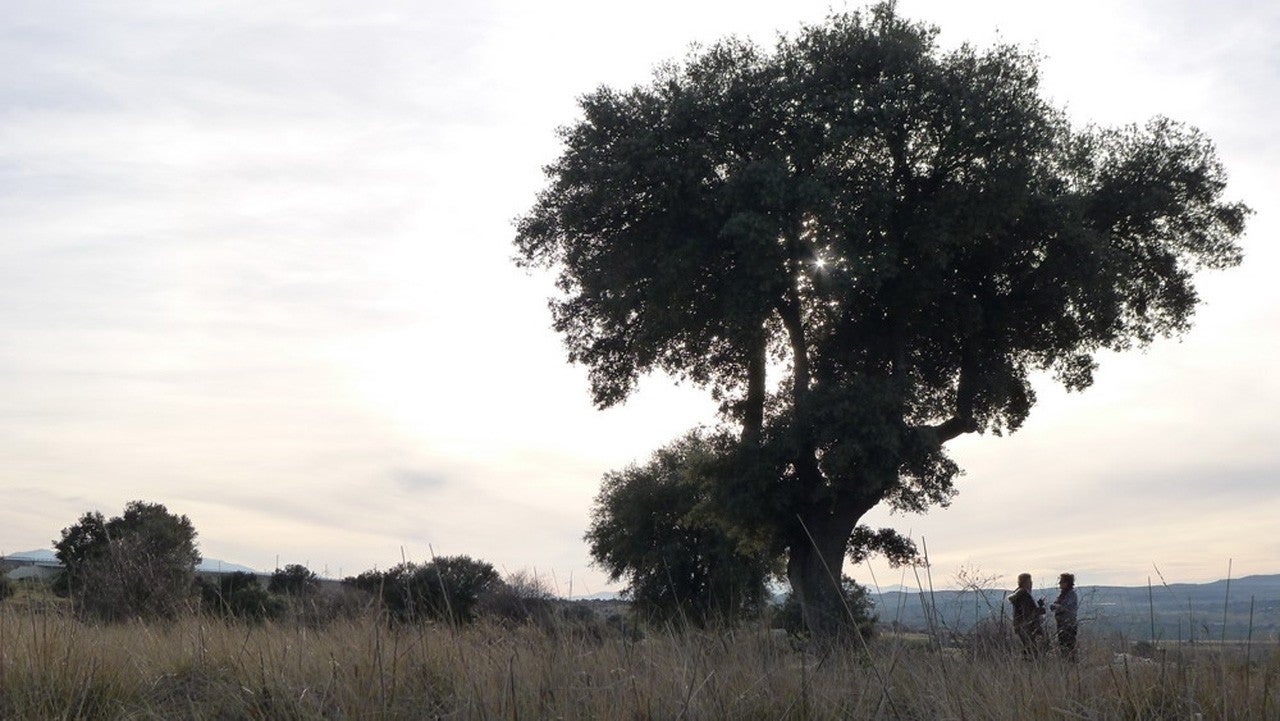 Viñegra de Moraña
