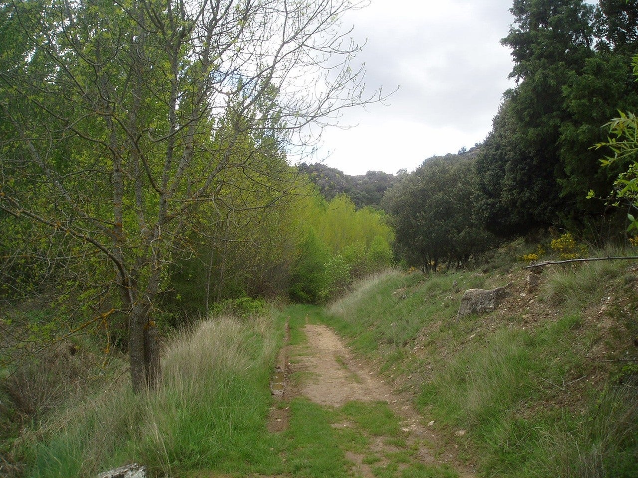 Bañuelos