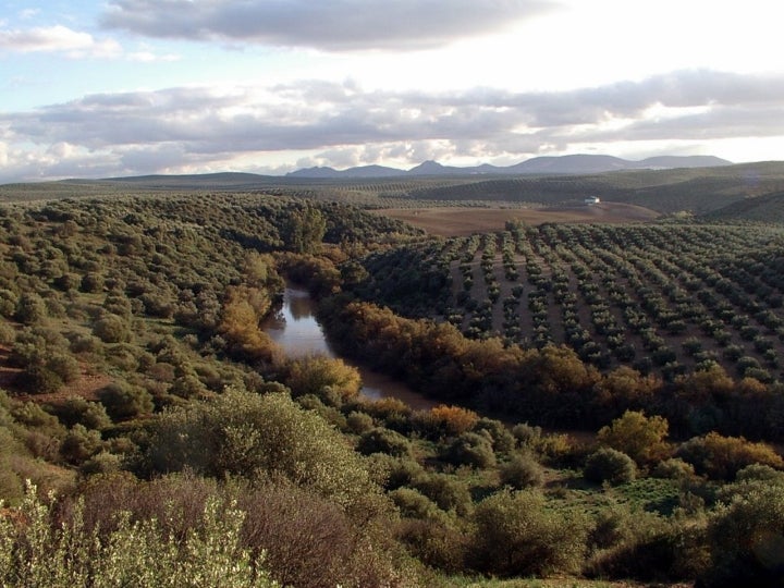 El río Genil riega las tierras de Palenciana, municipio cordobés conocido por su Semana Santa. Fotografía: RBolance vía Visualhunt  / CC BY-SA.