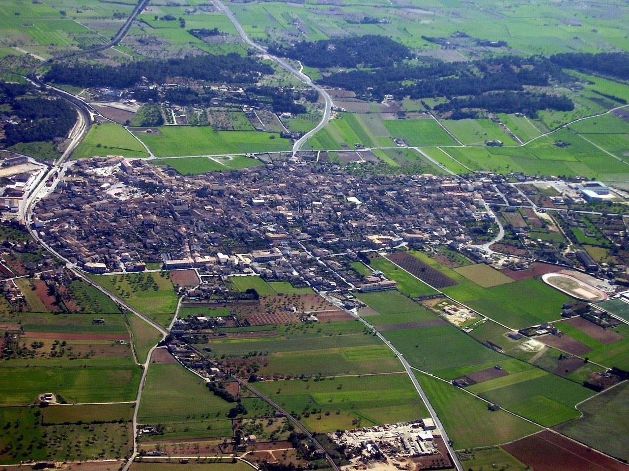 Sineu