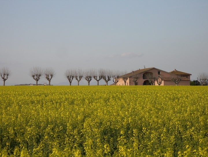 Paraje natural de Balenyà, municipio barcelonés en el que abundan las tradicionales masías. Fotografía: Comarca de Osona.