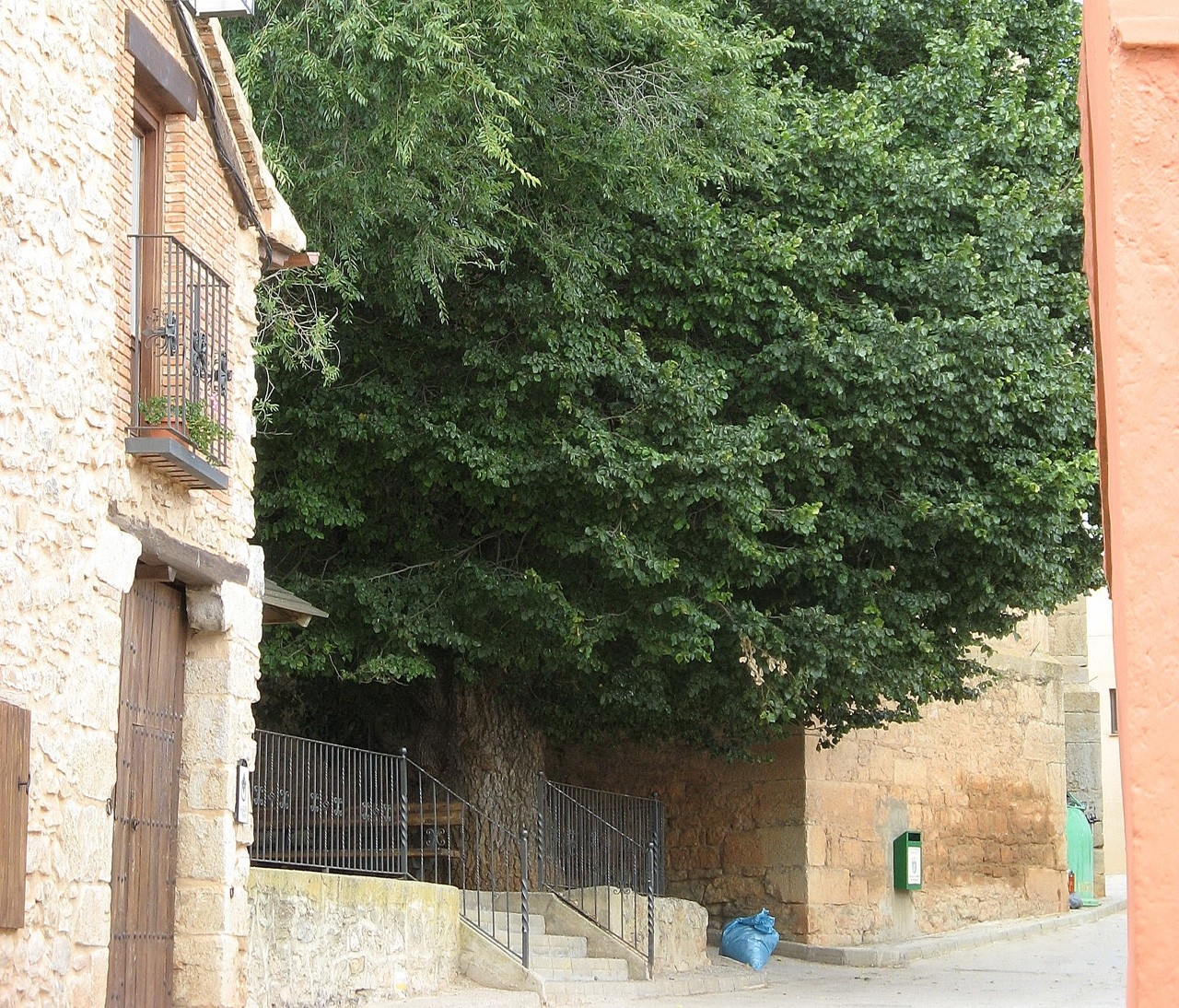 Camañas