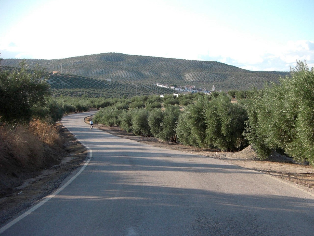 Escañuela