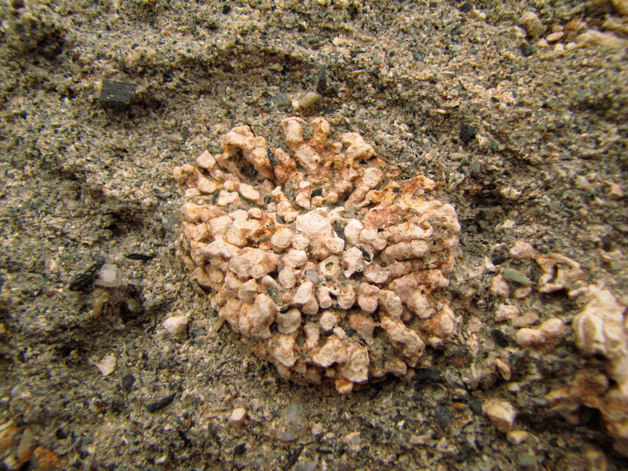 Armuña de Almanzora (Almería) Planes e información turística Guía