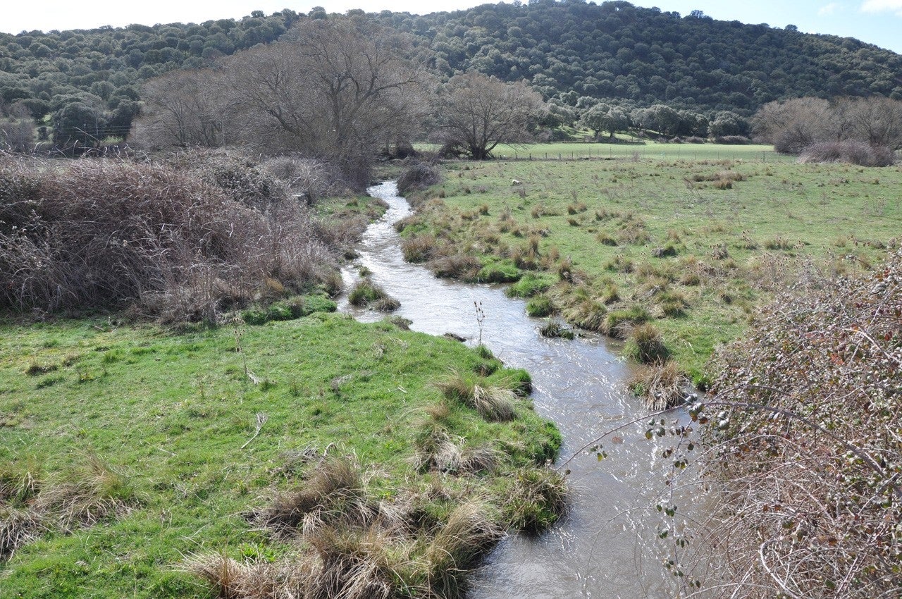 El Campo de Peñaranda