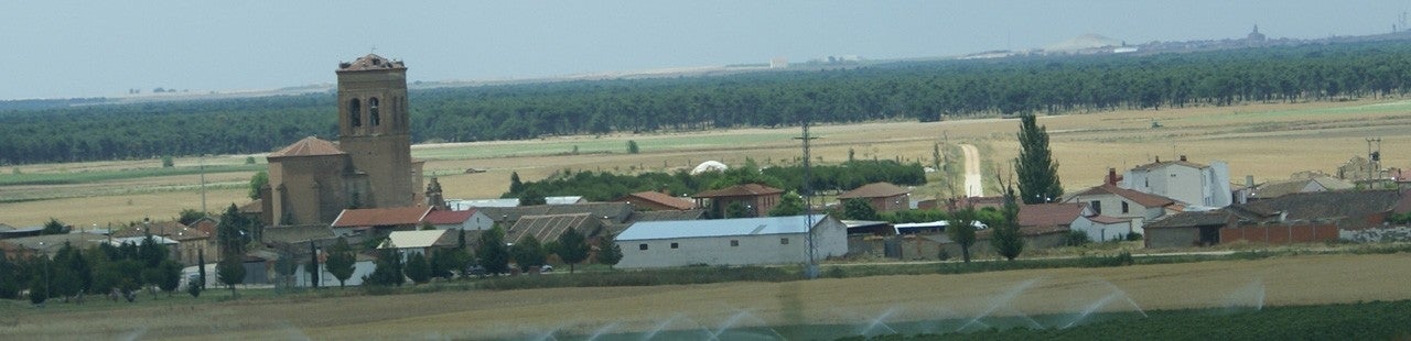 Bocigas