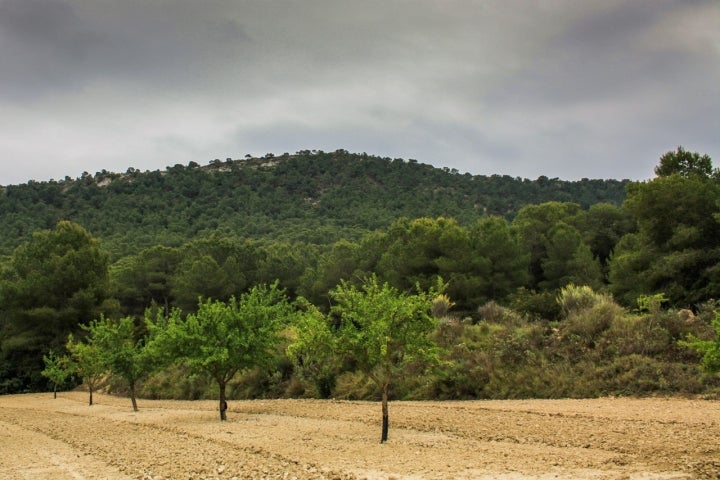 Vista de la cercana Sierra Escalona. Fotografía: Moisés Pastor vía Wikipedia.