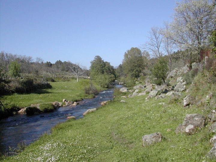 El Sahugo está en el entorno del LIC del río Arrago. Foto: Txisky vía Wikipedia / CC BY-SA.