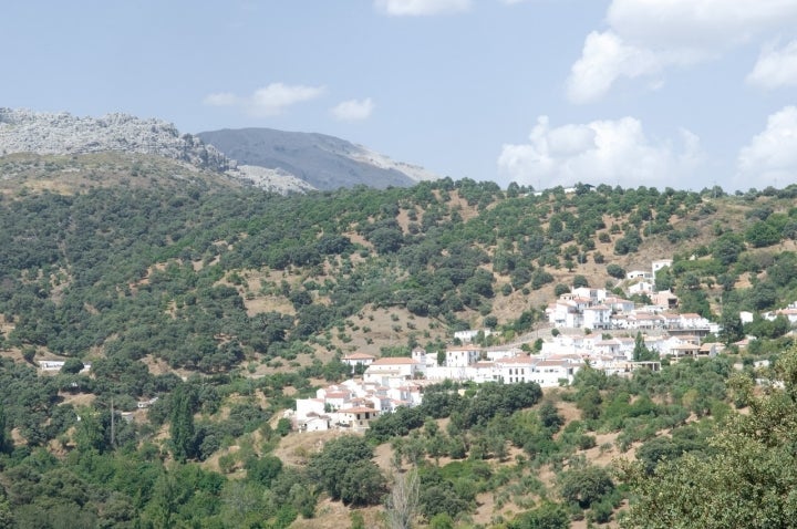Júzcar.
[Alto Genal/Valle del Genal].
Comarca Serranía de Ronda.
Provincia de Málaga.