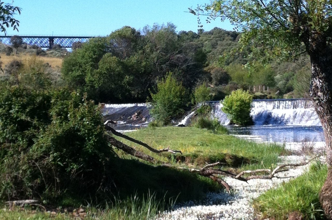Pozos de Hinojo