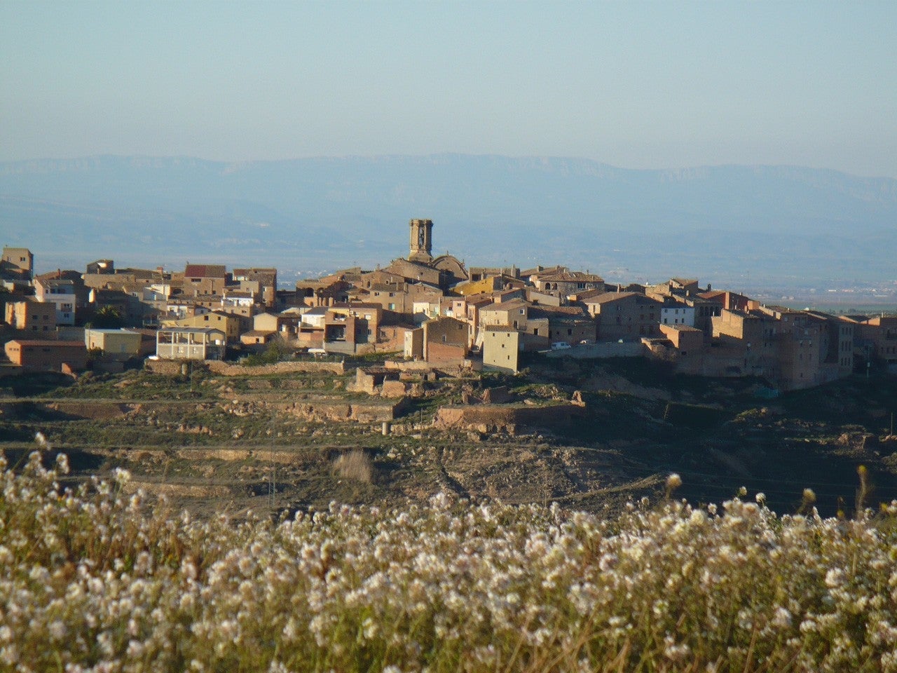 Granyena de les Garrigues