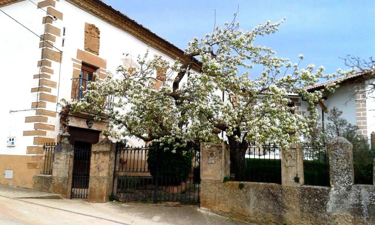 Arellano