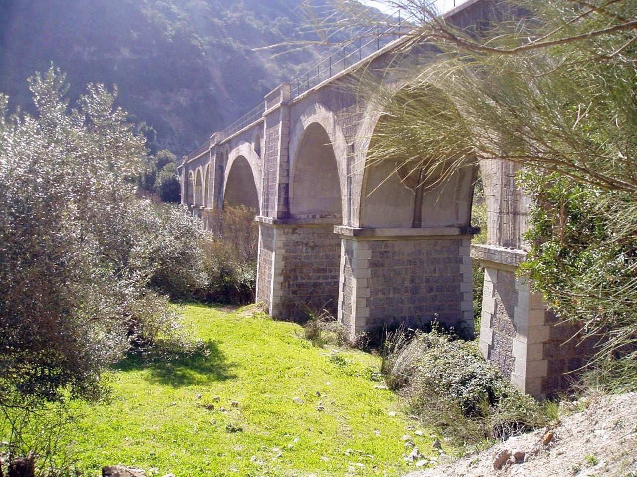 Coripe