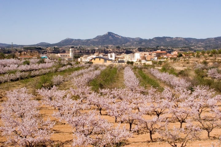 Panorámica de Móra la Nova, un municipio caracterizado por su rápido crecimiento. Fotografía: Consell Comarcal de la Ribera d'Ebre.