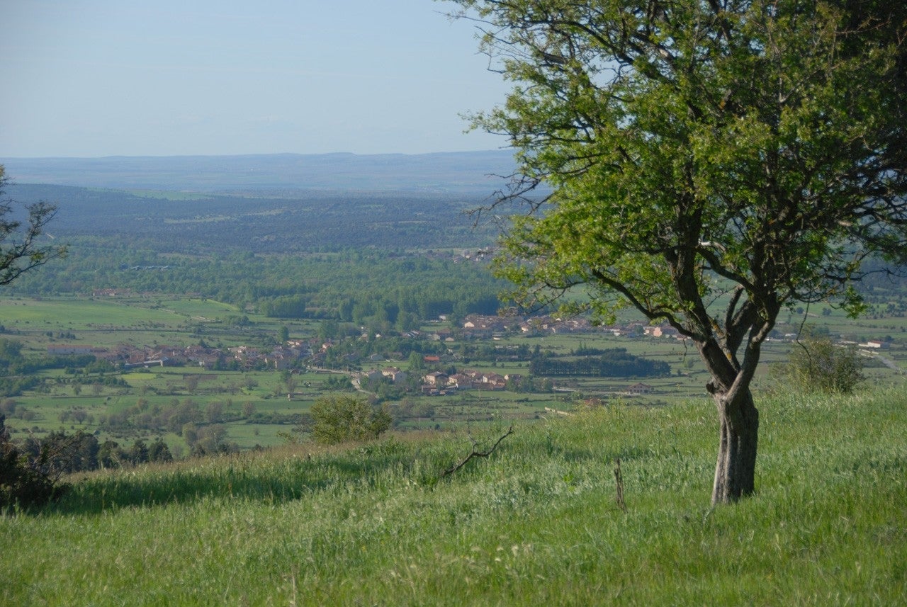 Arcones