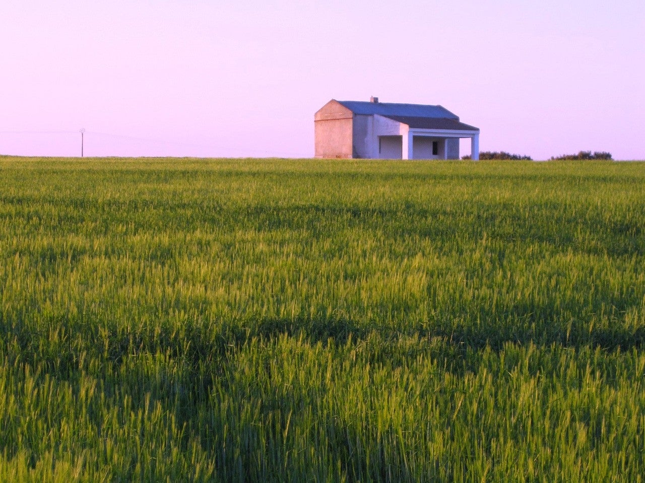 Cañada de Calatrava