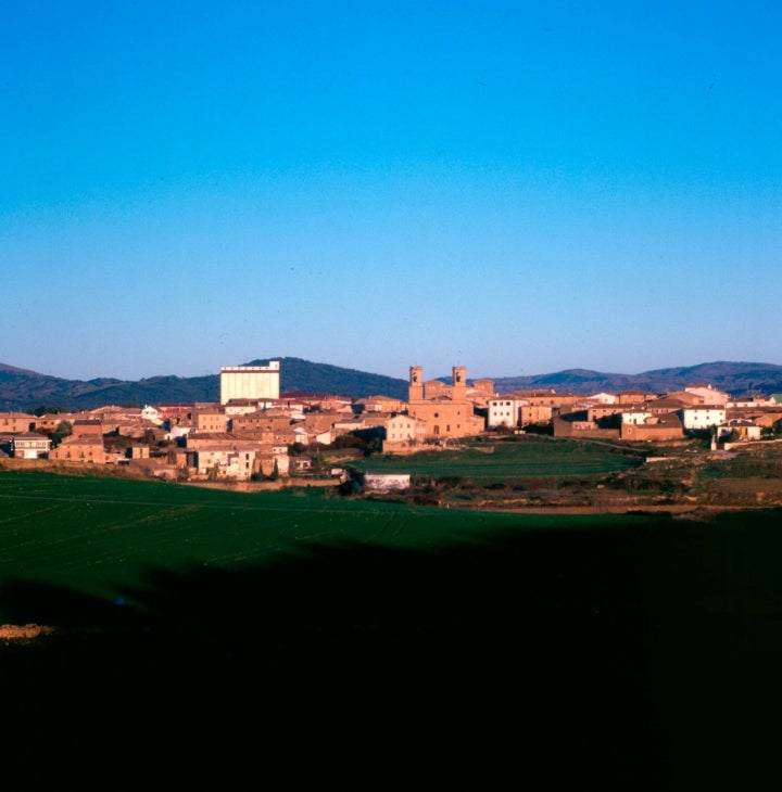 Vista general de Barasoain. Foto: Archivo de Turismo Reyno de Navarra.