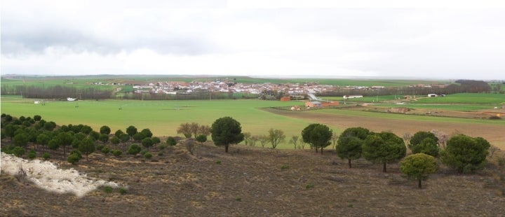 Viñedos y campos de cereales constituyen el entorno natural de Vadillo de la Guareña. Fotografía: Luispa vía Wikipedia / CC BY-SA.
