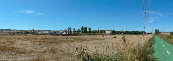 Olmos de Esgueva, a pocos kilómetros de Valladolid, se encuentra en pleno proceso de replantación. Foto: Rowanwindwhistler vía Wikipedia / CC BY-SA.