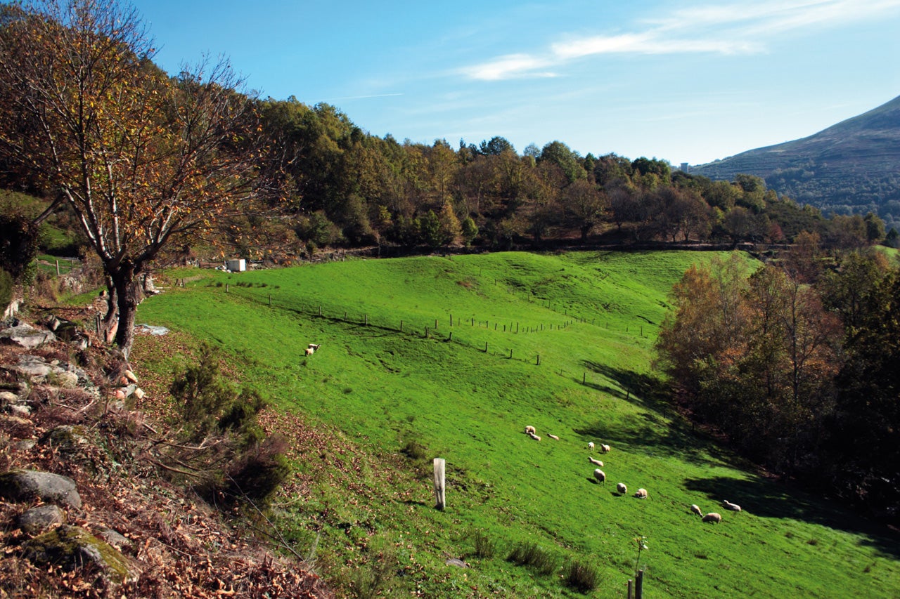 Vilariño de Conso (Ourense/Orense) Planes e información turística