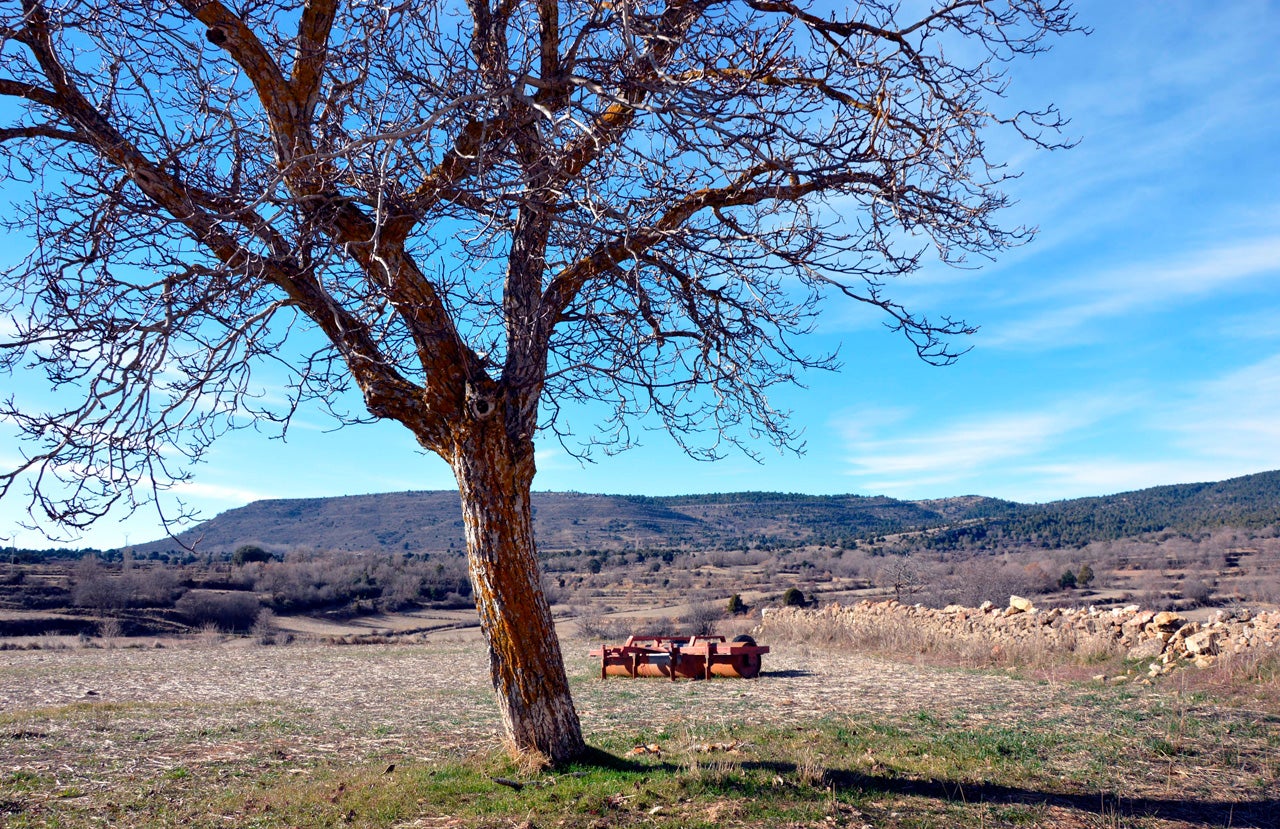 Veguillas de la Sierra (Teruel) Planes e información turística Guía