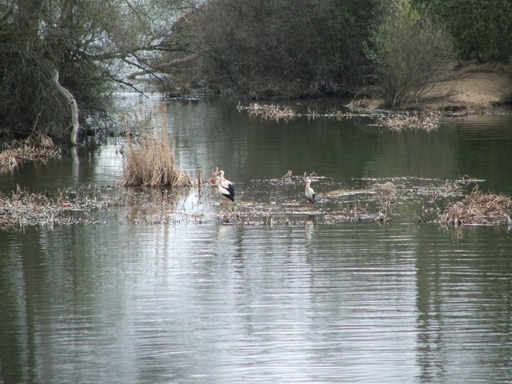 El municipio se encuentra en un entorno natural bañado por el río Tormes. Fotografía: Björn Láczay vía Wikipedia / CC BY.