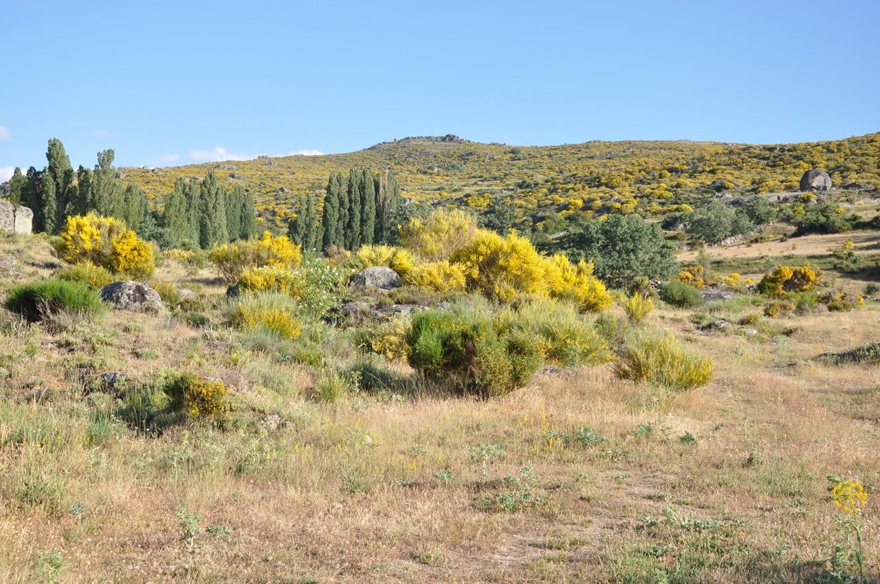 Foto de El Calorzo en San Esteban de los Patos, Ávila