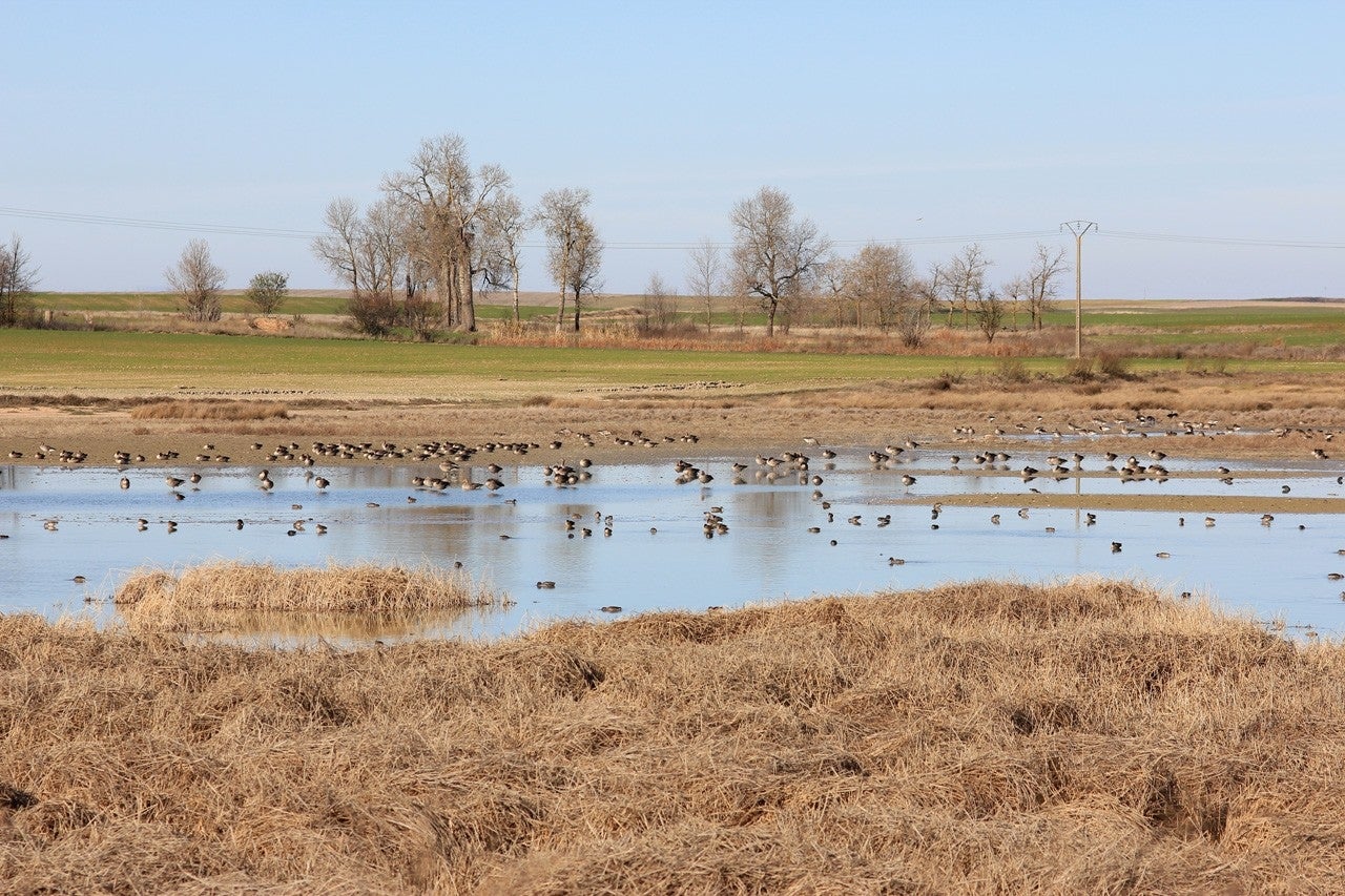 Villalba de la Lampreana