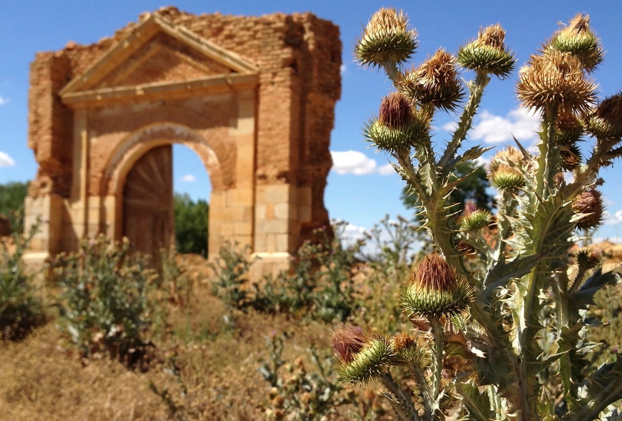 Bercianos del Real Camino
