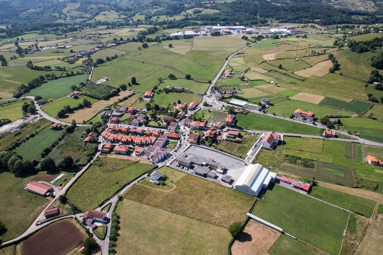 Sariego