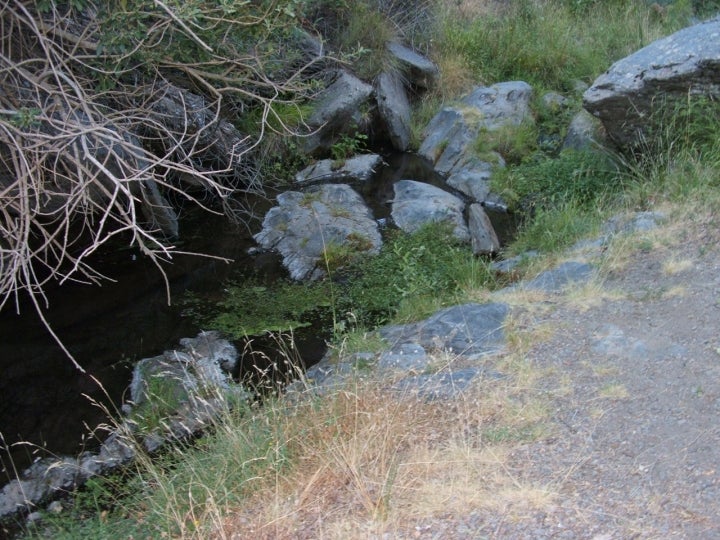 Uno de los afluentes del río Almanzora en el término municipal de Alcóntar. Fotografía: Luispihormiguero vía Wikipedia / CC BY-SA.
