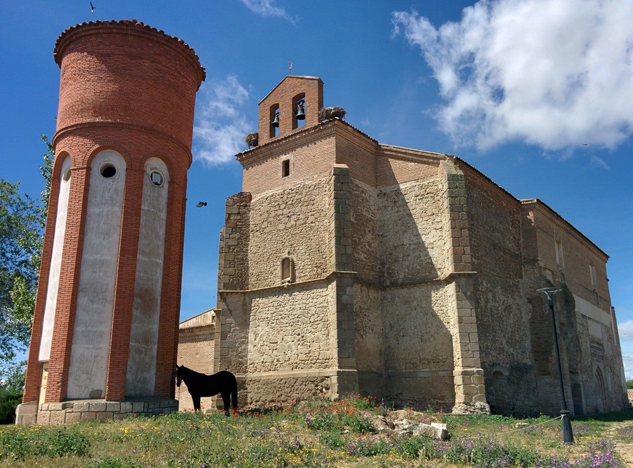 Rubí de Bracamonte