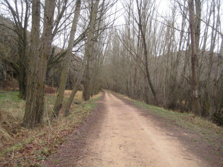 Paisaje junto al río Tajuña, cerca de Fuentenovilla. Foto: Jule Iturbe-Ormaetxe vía Visual Hunt