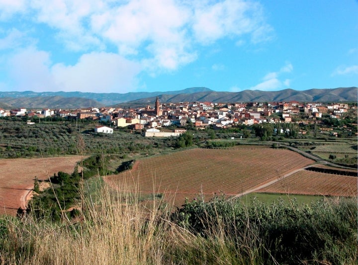 Vista de Rincón de Soto. Foto: Pigmentoazul vía wikipedia / CC BY-SA