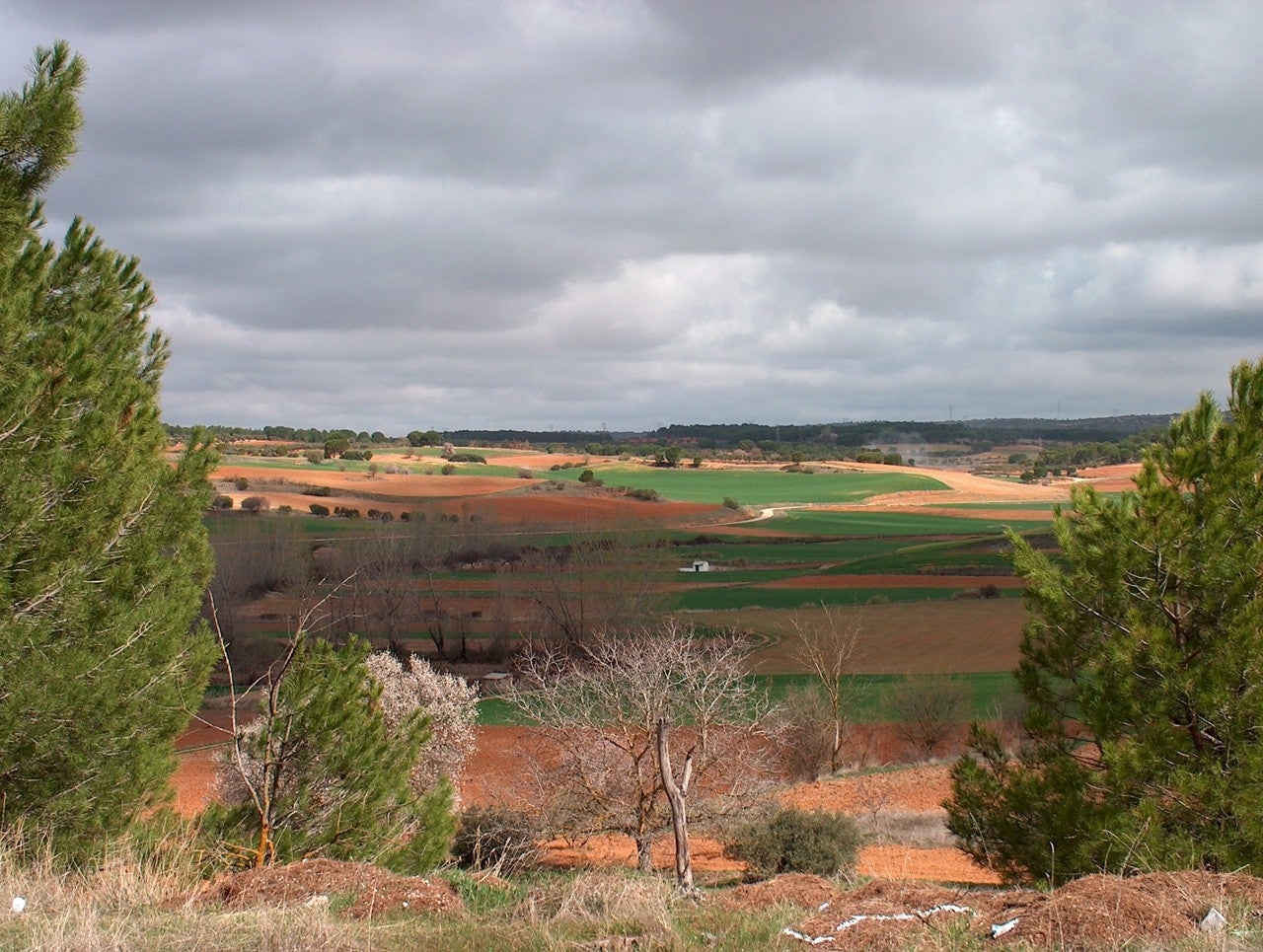 Buenache de Alarcón