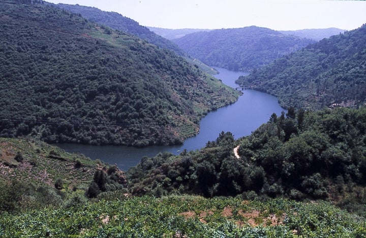 Vista del río Miño a su paso por la localidad de Chantada. Fotografía: Cortesía Turismo de Galicia.