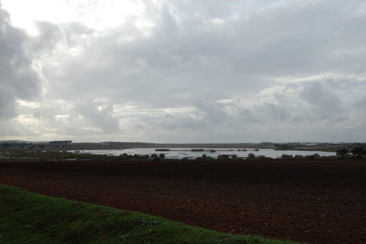 Laguna de los Tollos, un lugar muy especial para el avistamiento de aves. Fotografía: AytoCuervoSevilla vía Visualhunt / CC BY-SA.
