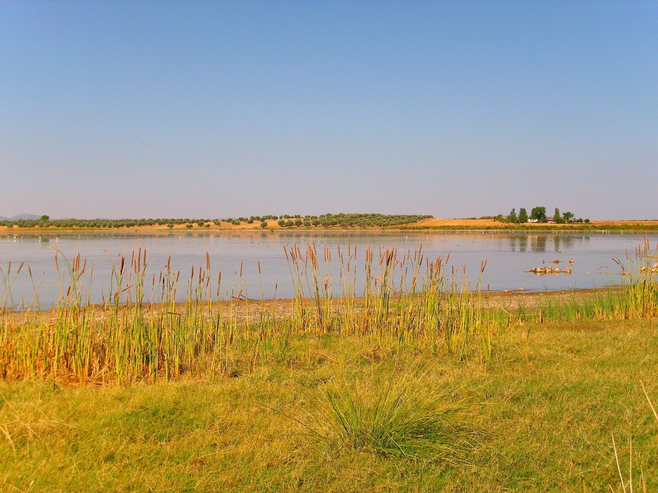 Argamasilla de Calatrava
