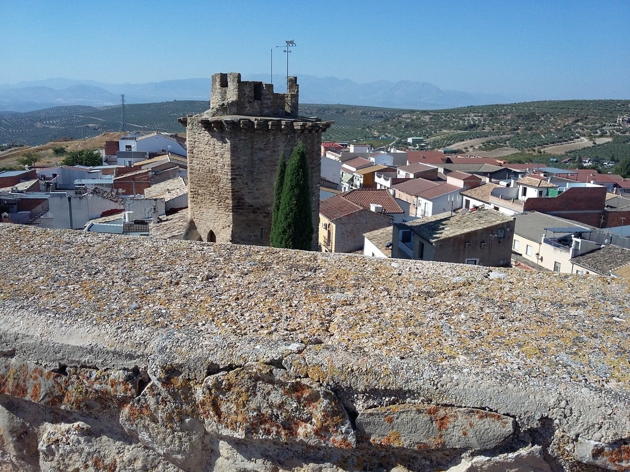 Torreperogil