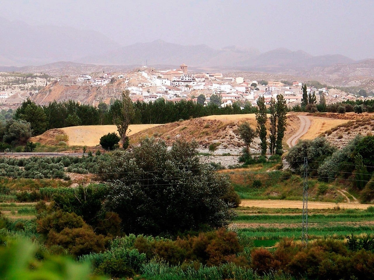Benamaurel