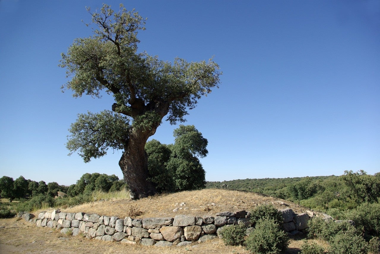 Chamartín