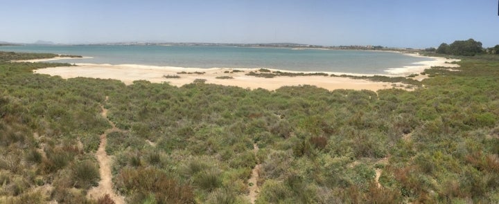 Parque Natural de las Lagunas de la Mata y Torrevieja, situado en las cercanías de este municipio. Fotografía: arnybo vía Visual Hunt.