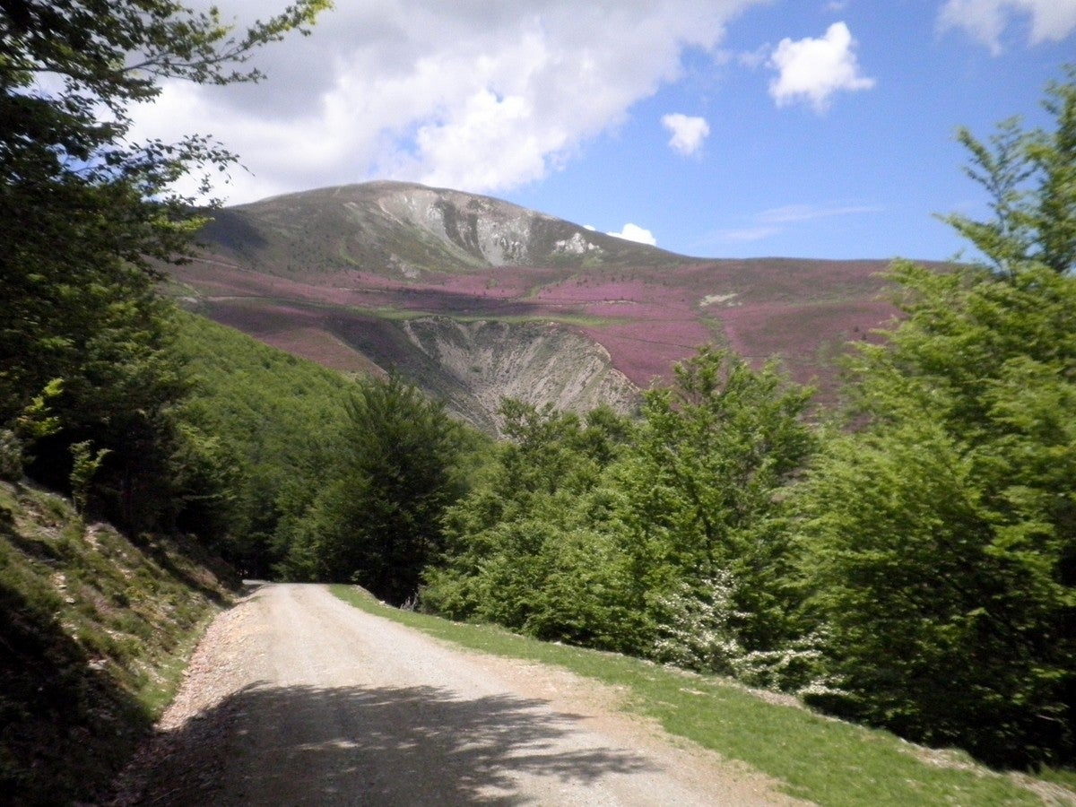 Cabezón de la Sierra