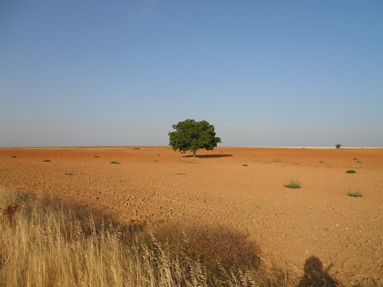 Barcial del Barco