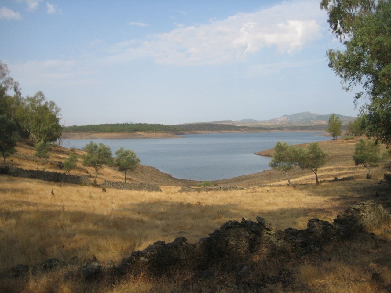 Sanchotello