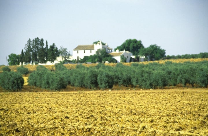 Humilladero es un pueblo malagueño que vive por y para la agricultura. Fotografía: Ismael Gómez vía Patronato de Turismo de la Costa del Sol.